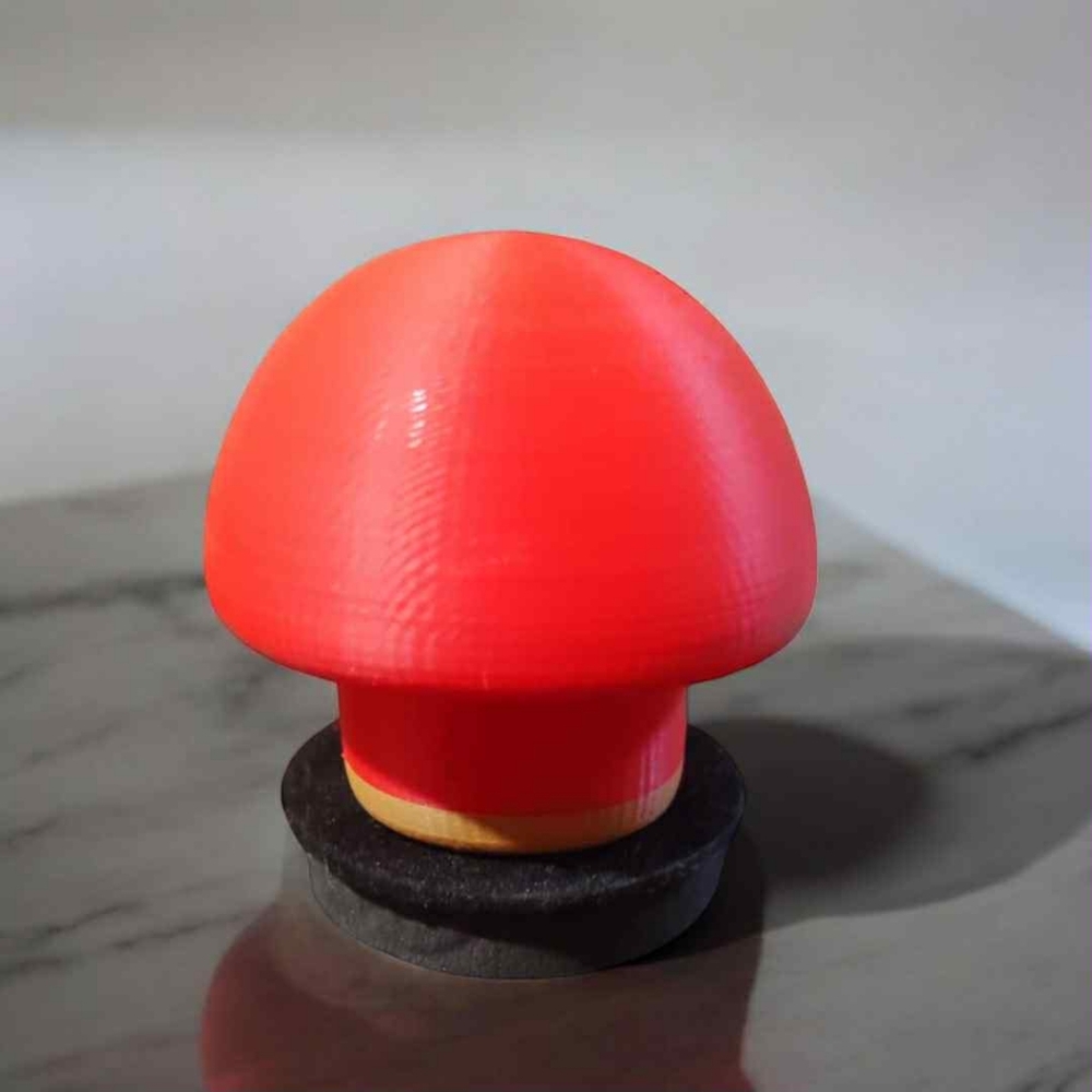 3D Printed Mushroom